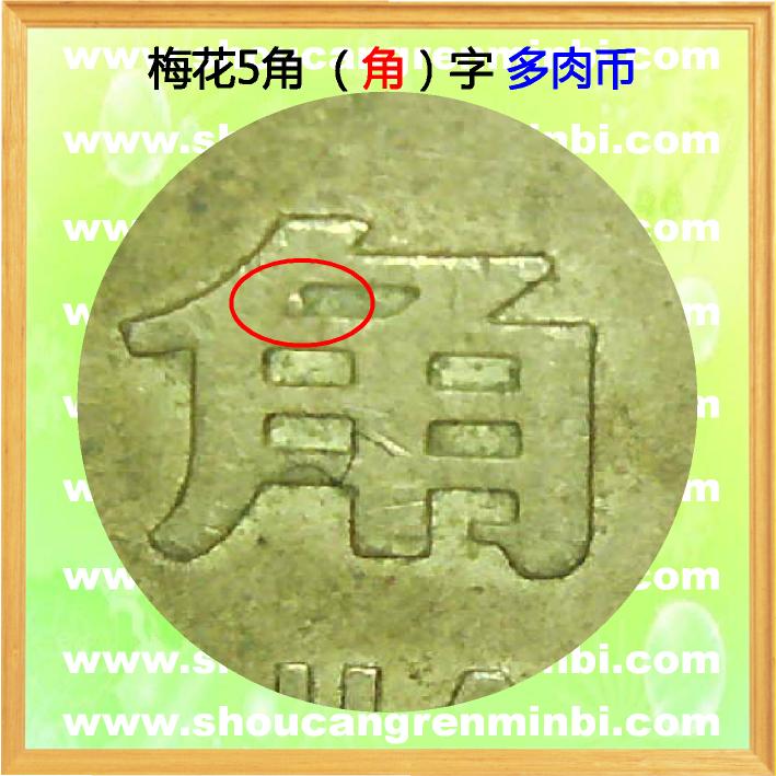 ǣ